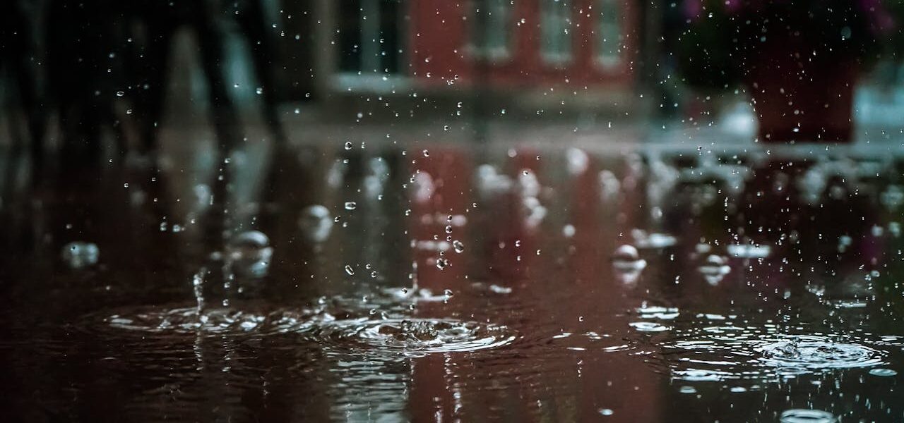 Foto de Vlad Chețan: https://www.pexels.com/es-es/foto/gotas-de-lluvia-1529360/