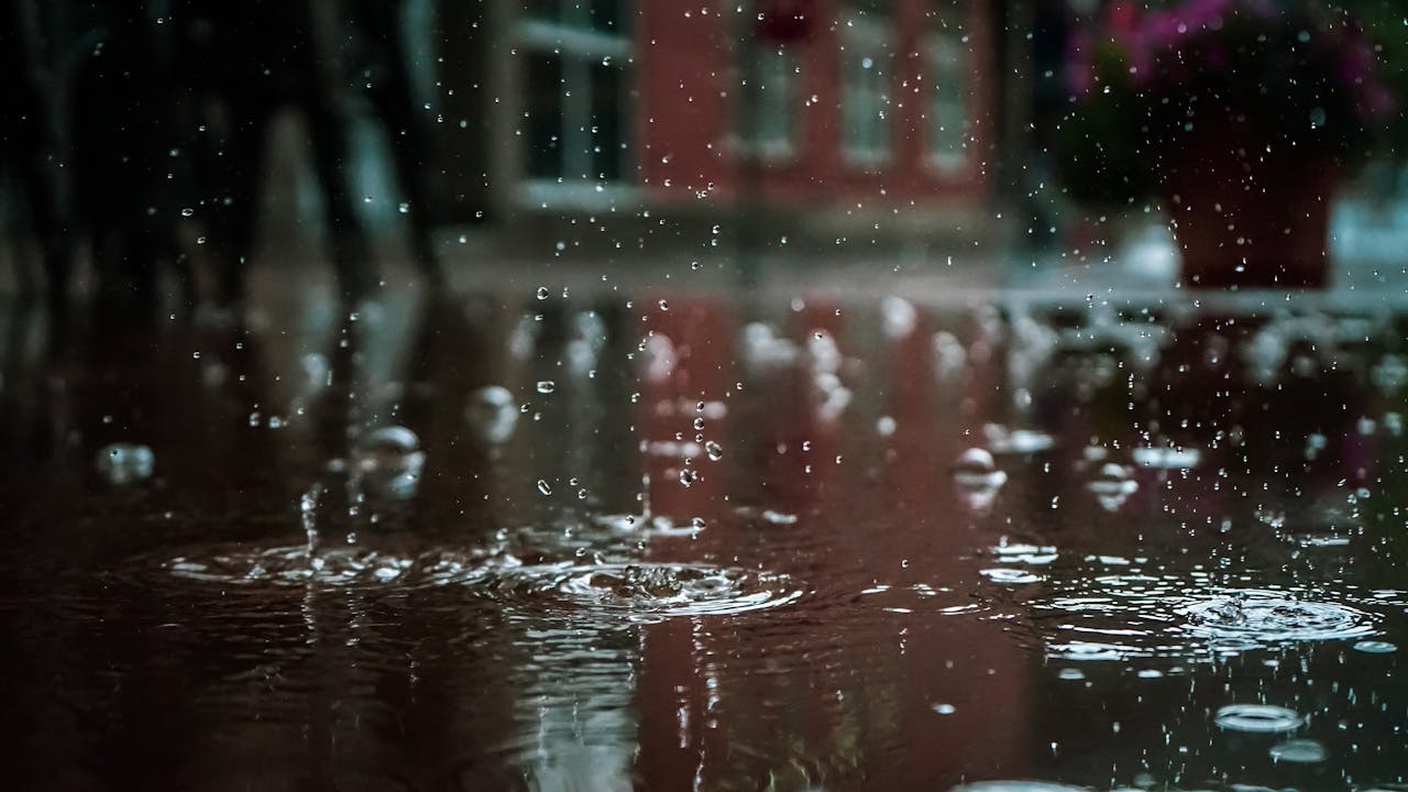 Foto de Vlad Chețan: https://www.pexels.com/es-es/foto/gotas-de-lluvia-1529360/