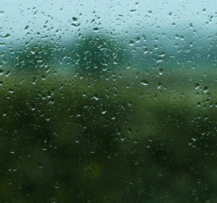 Foto de Joshua Woroniecki: https://www.pexels.com/es-es/foto/vista-desde-una-ventana-bajo-la-lluvia-en-belfast-29273395/