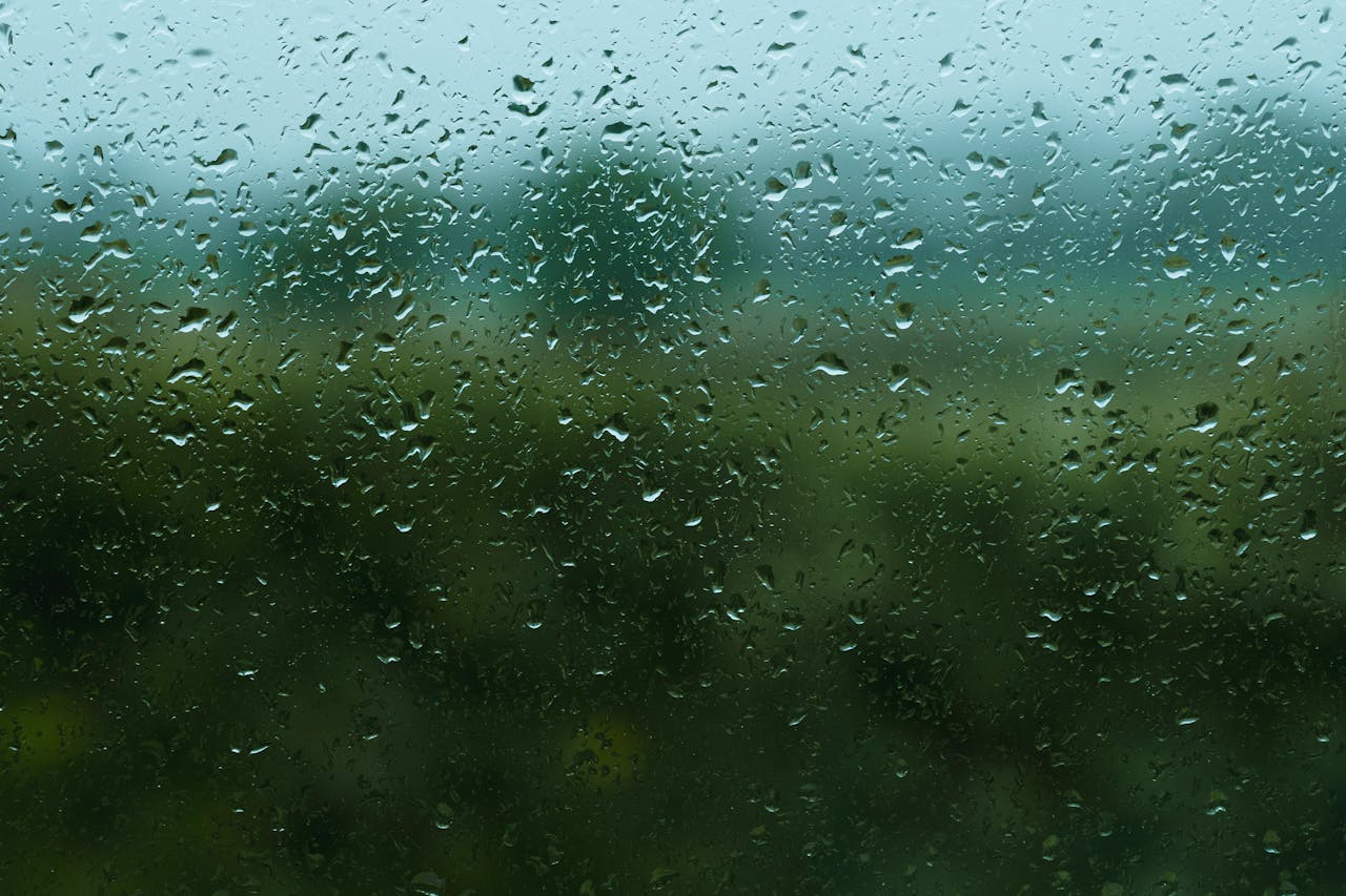 Foto de Joshua Woroniecki: https://www.pexels.com/es-es/foto/vista-desde-una-ventana-bajo-la-lluvia-en-belfast-29273395/